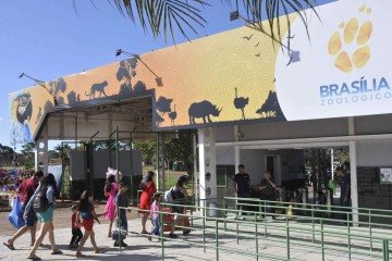 48º Congresso da AZAB com debates sobre conservação em aquários e zoológicos -  (crédito: Minervino Júnior/CB/D.A.Press)