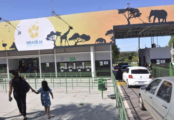 Zoológico ficará fechado temporariamente a partir de quarta-feira (28/5) -  (crédito: Minervino Júnior/CB/D.A.Press)