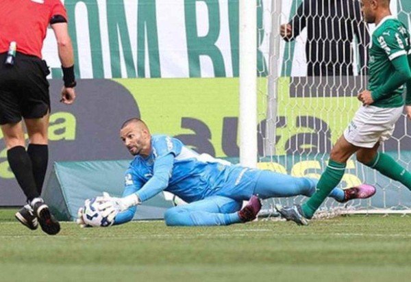 Cesar Greco/Palmeiras