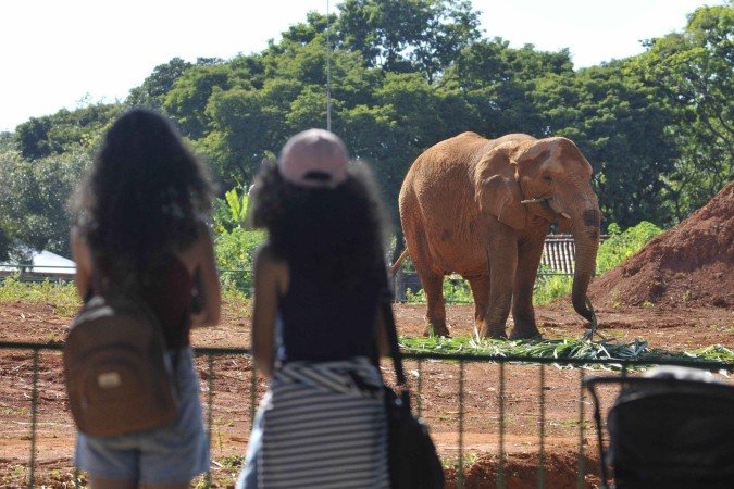  30/03/2025. Crédito: Minervino Júnior/CB/D.A Press. Brasil.  Brasilia - DF. Final de semana de Zoológico com entrada gratuita para a população.