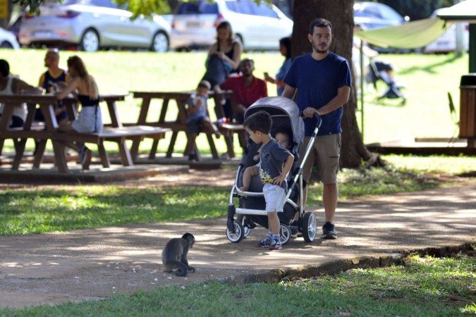  30/03/2025. Crédito: Minervino Júnior/CB/D.A Press. Brasil.  Brasilia - DF. Final de semana de Zoológico com entrada gratuita para a população.