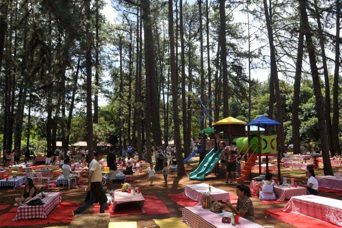  30/03/2025. Crédito: Minervino Júnior/CB/D.A Press. Brasil.  Brasilia - DF. Final de semana de entrada gratuita para a população no Jardim Botânico de Brasília..