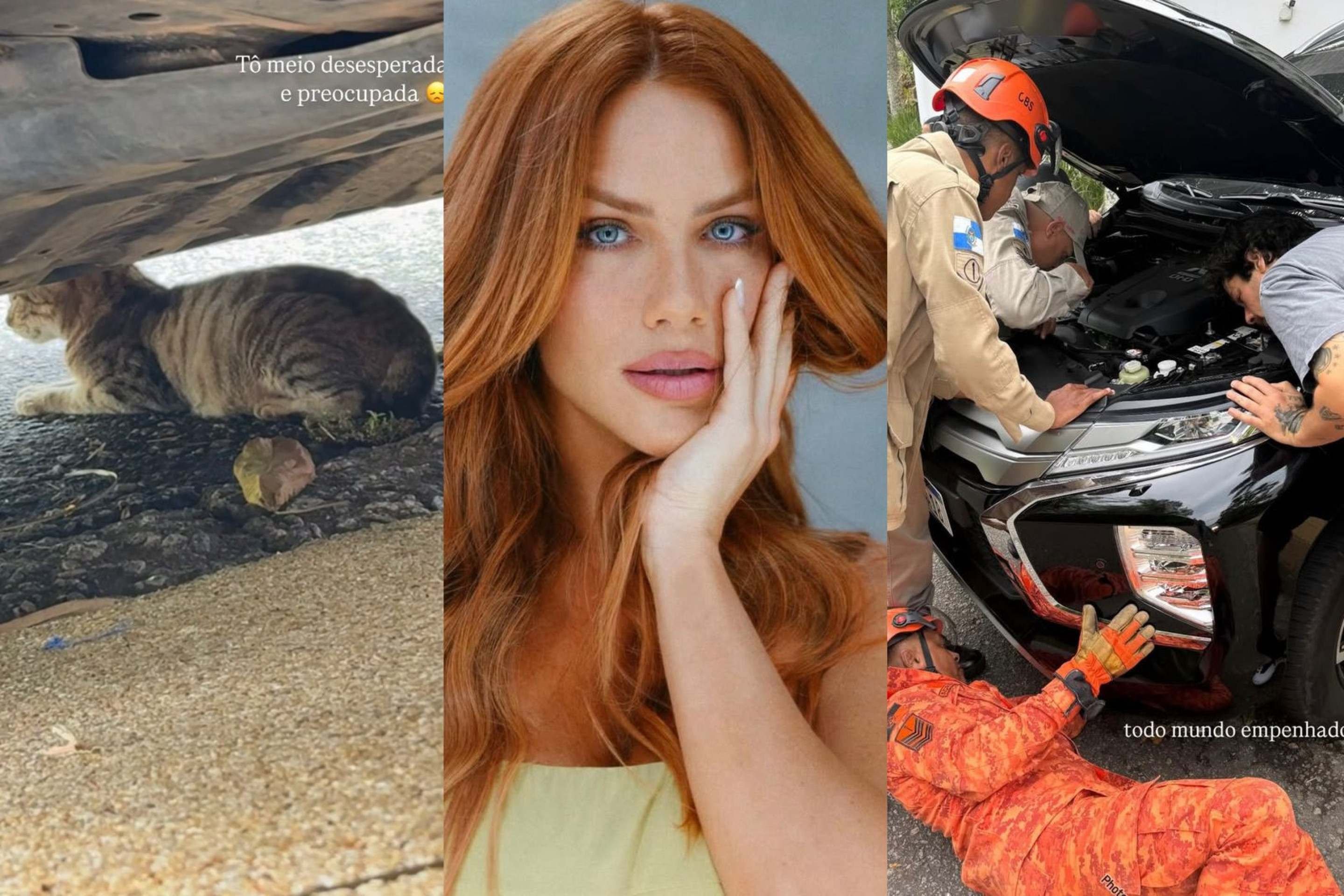 Giovanna Ewbank: CBMERJ resgata gato preso na roda do carro da atriz