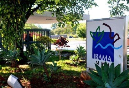 Ibama abre inscrições para estágio -  (crédito: Divulgação)