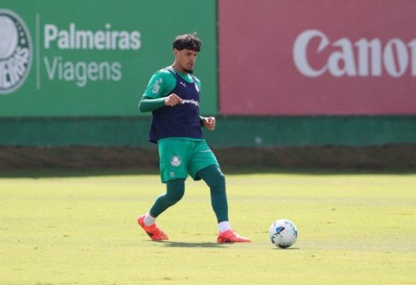 Foto: Cesar Greco/Palmeiras