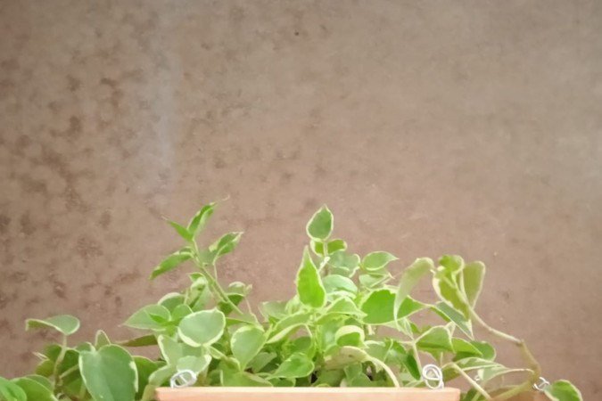 Cachepô modelo Barca, em madeira 
reciclada, da CJ Artesanatos (R$ 80)