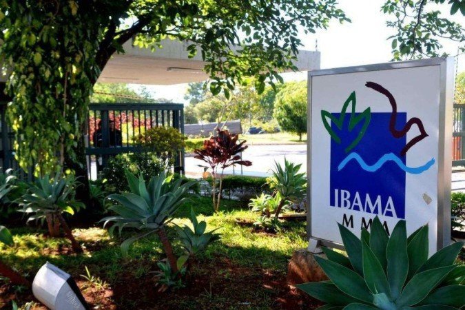 Ibama abre inscrições para estágio - (crédito: Divulgação) Ibama abre inscrições para estágio - (crédito: Divulgação)