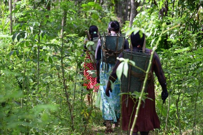 Atender aos interesses legítimos das populações amazônicas é um dos desafios - (crédito: Pablo PORCIUNCULA/AFP) Atender aos interesses legítimos das populações amazônicas é um dos desafios - (crédito: Pablo PORCIUNCULA/AFP)