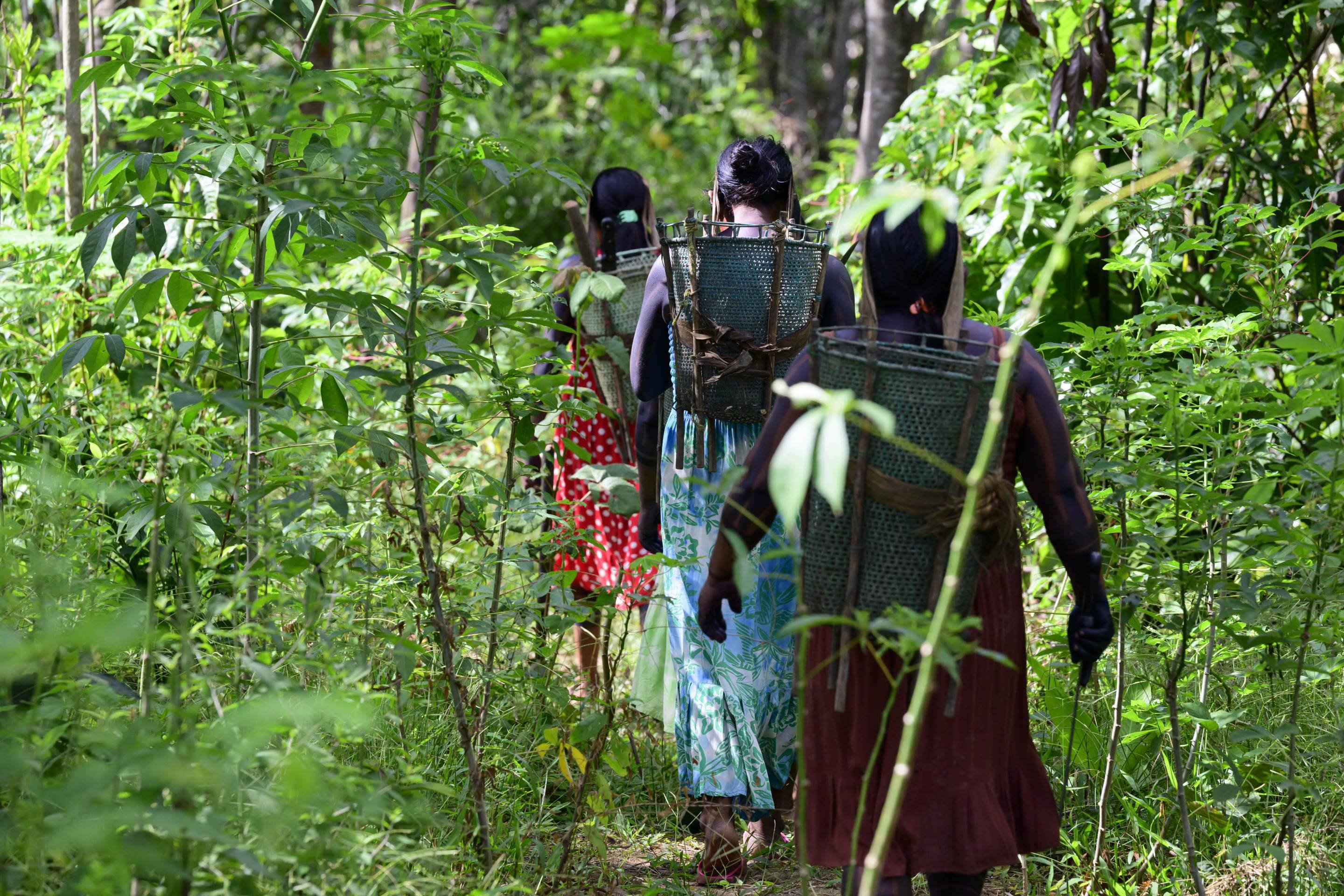 Pressa para destruir: Congresso ignora a Constituição e os territórios tradicionais