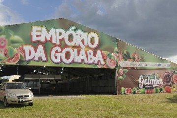 Em 2025, o DF produziu mais de 40 mil toneladas de frutas   -  (crédito: Minervino Júnior/CB/D.A.Press)