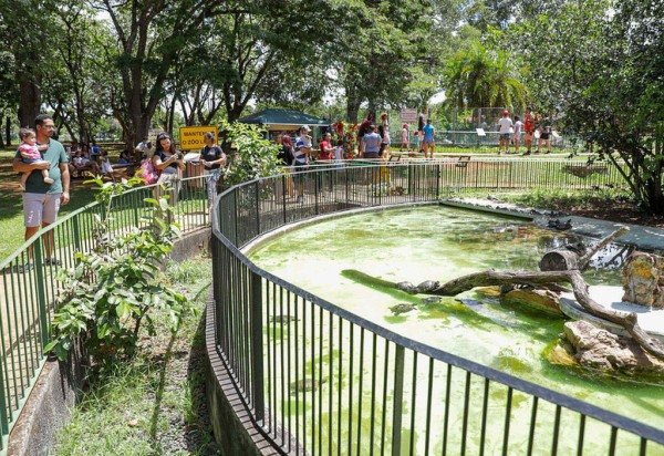 Foto: Agência Brasília/ Geovana Albuquerque
