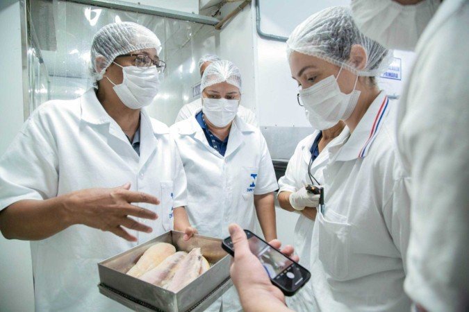Durante a operação, seis entrepostos de pescado foram verificados em diferentes regiões istrativas - (crédito: Divulgação/Seagri-DF) Durante a operação, seis entrepostos de pescado foram verificados em diferentes regiões istrativas - (crédito: Divulgação/Seagri-DF)