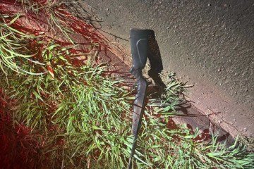 Espingarda é a quarta arma de fogo apreendida em menos de 24 horas pelas equipes da PMDF - (crédito: Reprodução/PMDF) Espingarda é a quarta arma de fogo apreendida em menos de 24 horas pelas equipes da PMDF - (crédito: Reprodução/PMDF)