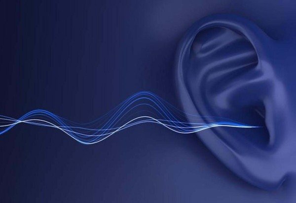 Jiaxin Zhong et al./PNAS, CC BY-NC-ND