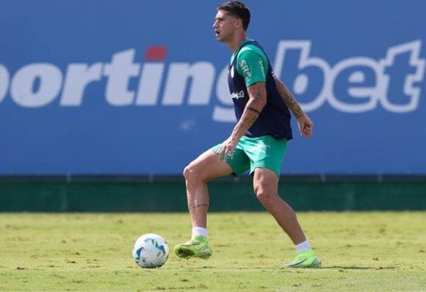 Cesar Greco / Palmeiras