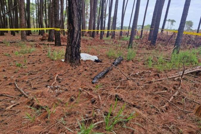 Corpo da mulher foi encontrado em mata no Paranoá - (crédito: PCDF) Corpo da mulher foi encontrado em mata no Paranoá - (crédito: PCDF)