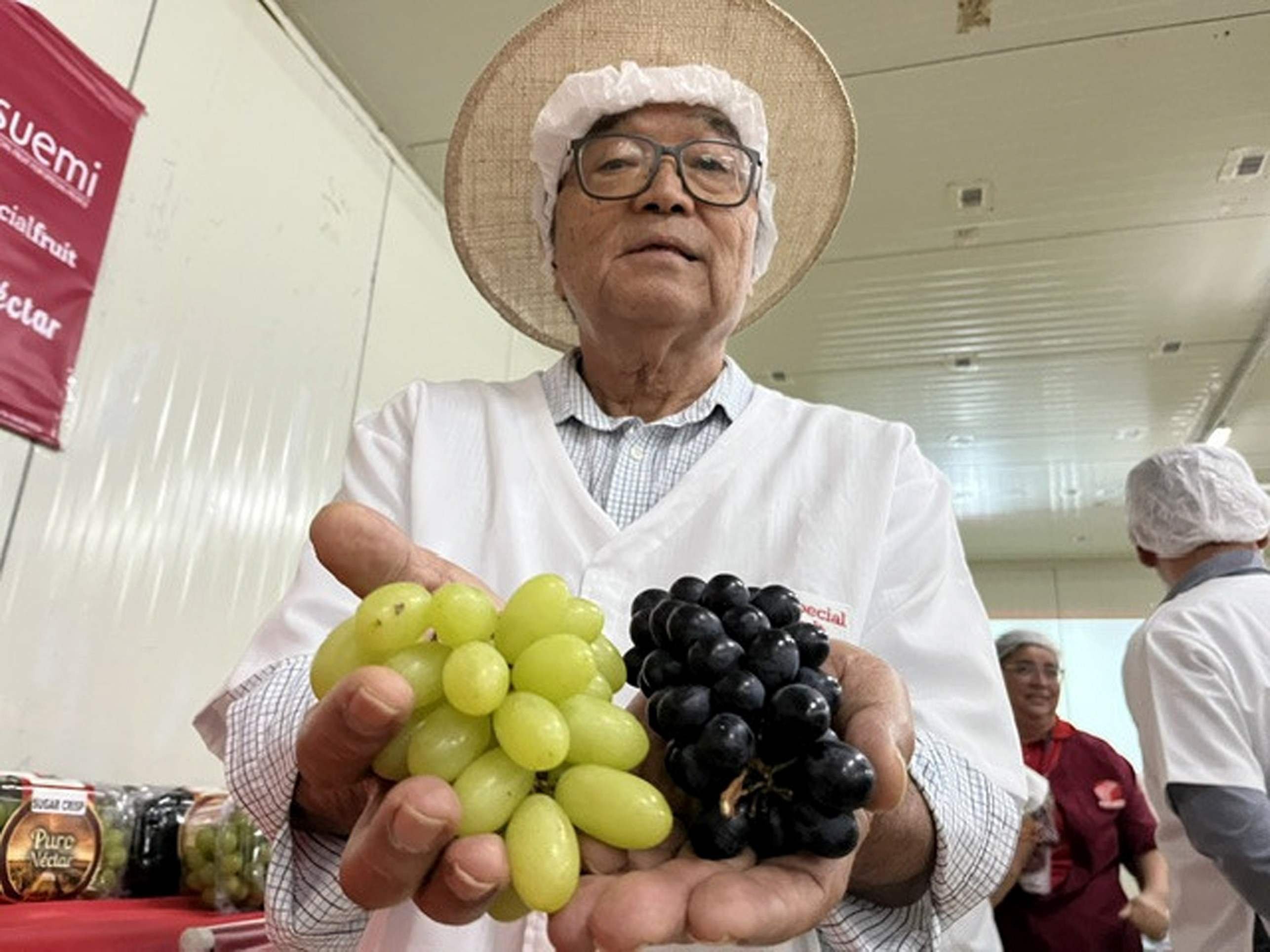 Vale do São Francisco se destaca em produção de frutas dentro e fora do país