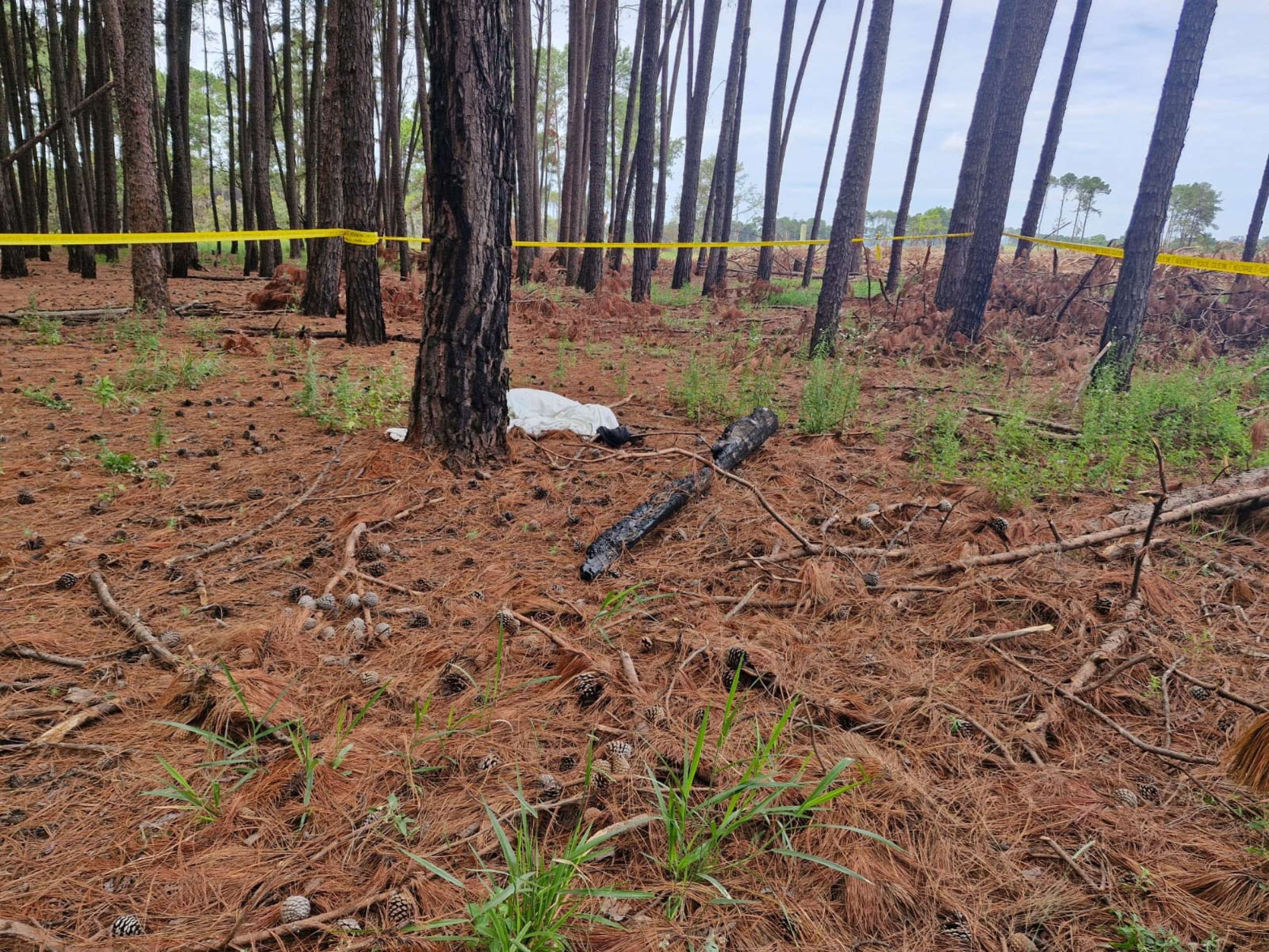 Mulher é assassinada após ajudar homem e tem corpo jogado em mata no DF