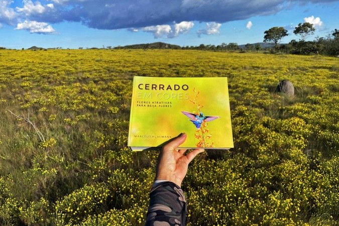 Livro Livro
