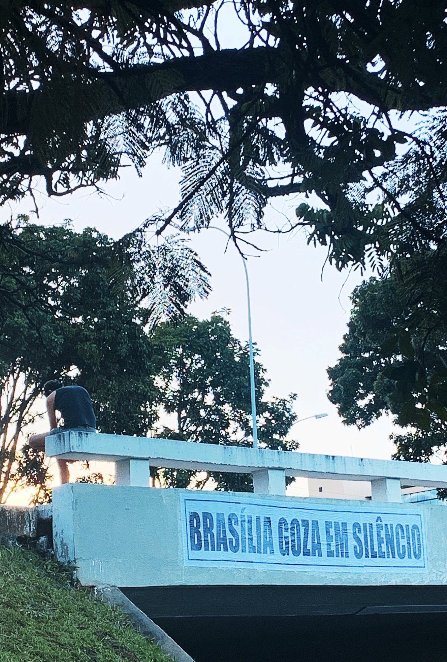 Lambes pelas ruas de Brasília do Coletivo Transverso