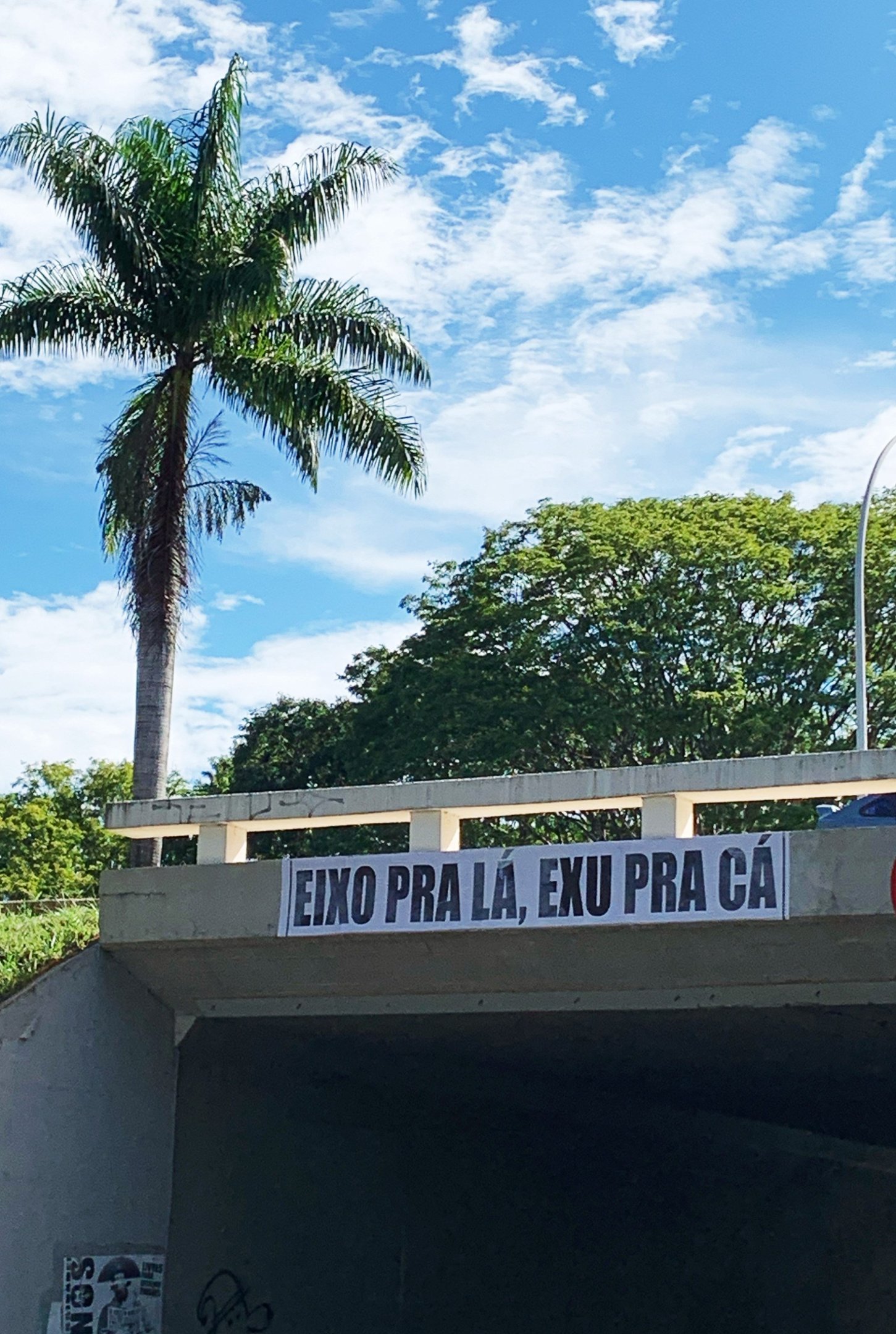 Lambes pelas ruas de Brasília do Coletivo Transverso