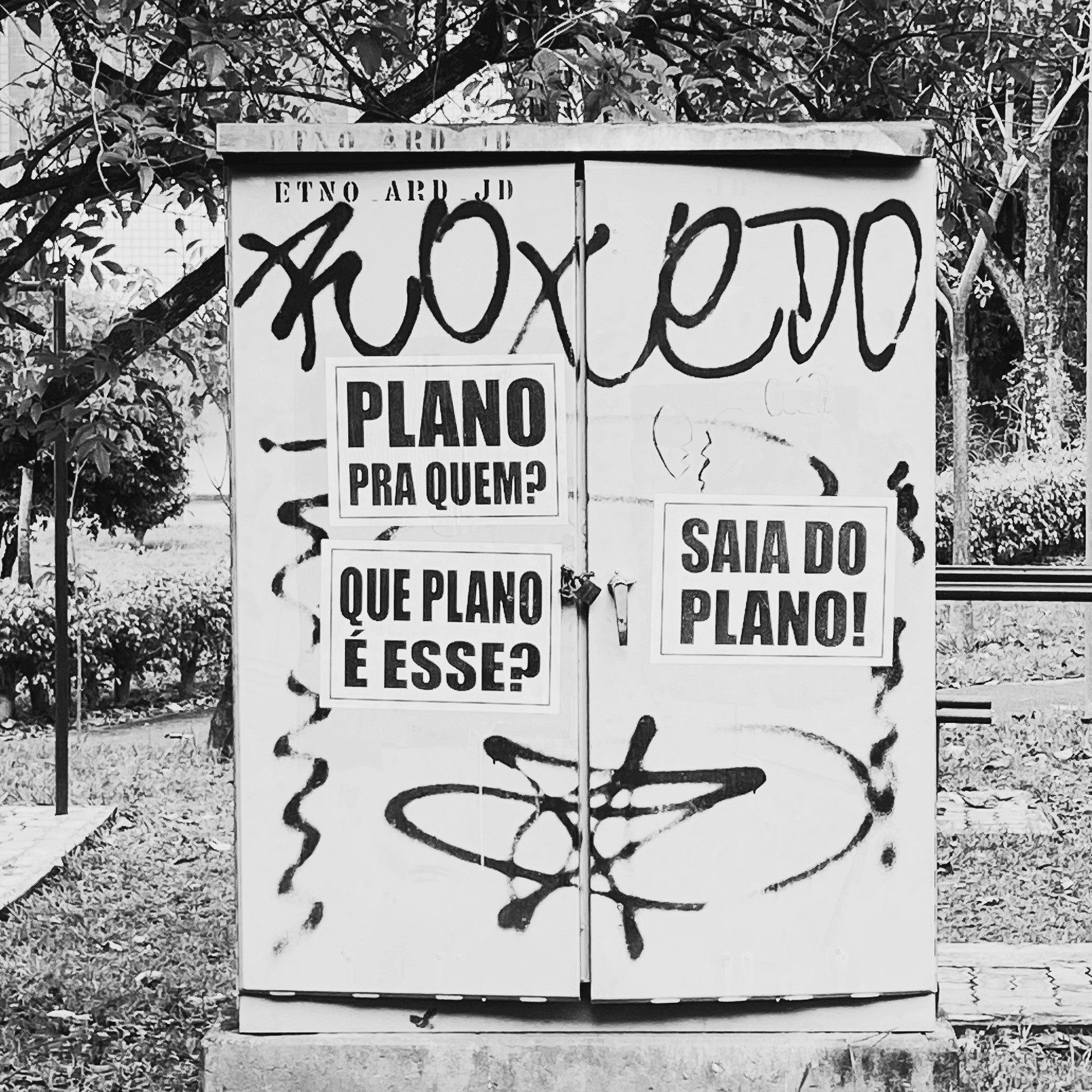 Lambes pelas ruas de Brasília do Coletivo Transverso