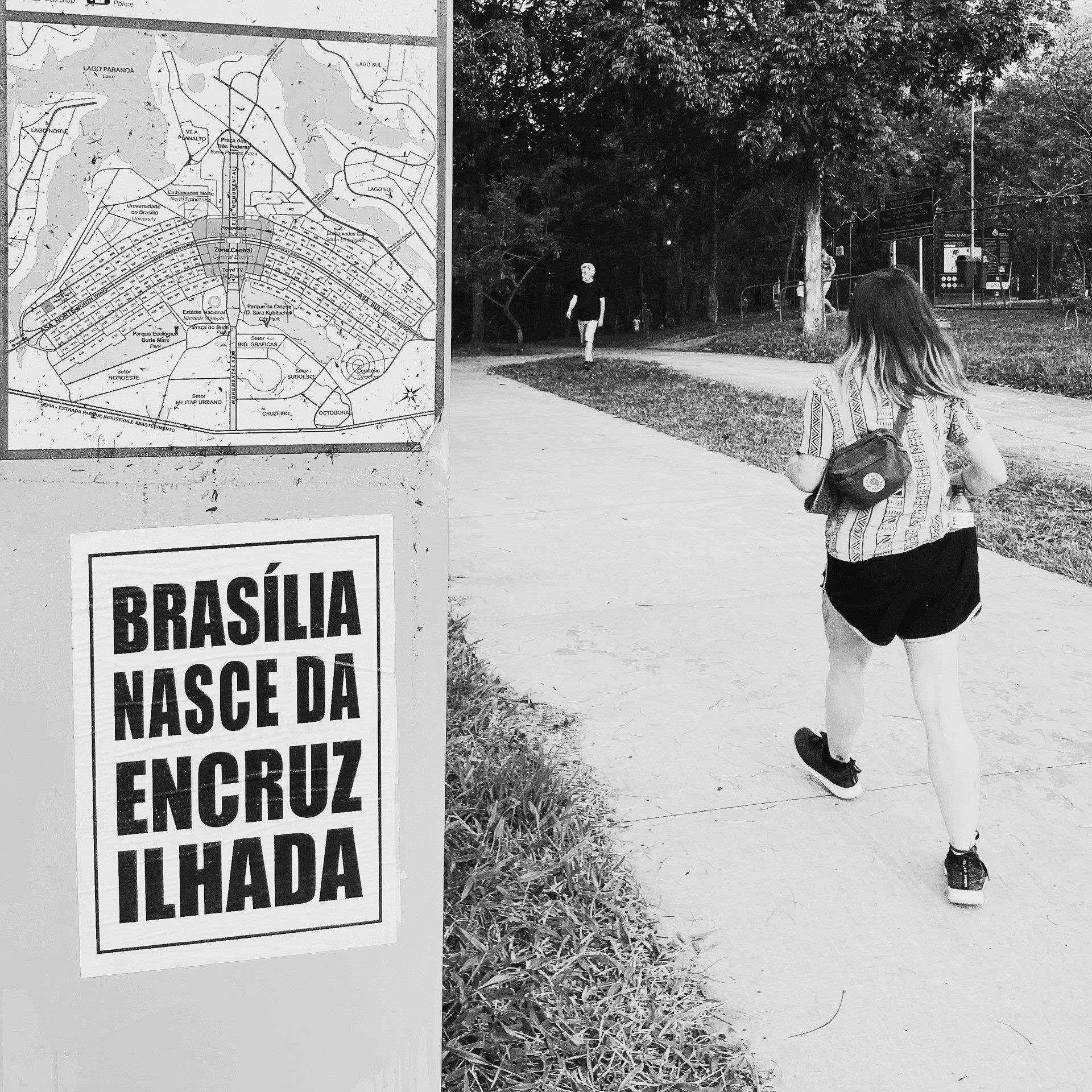 Lambes pelas ruas de Brasília do Coletivo Transverso