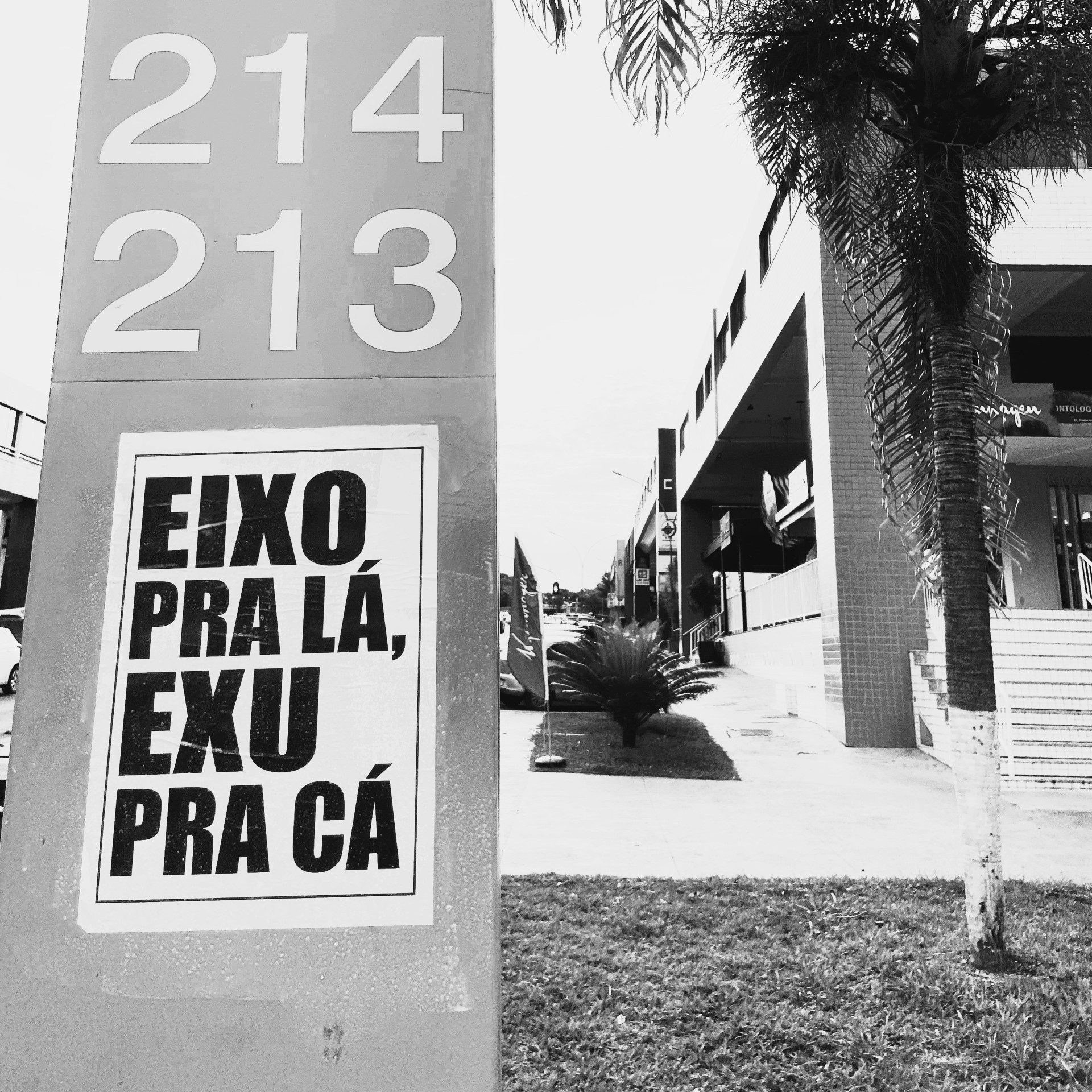 Lambes pelas ruas de Brasília do Coletivo Transverso