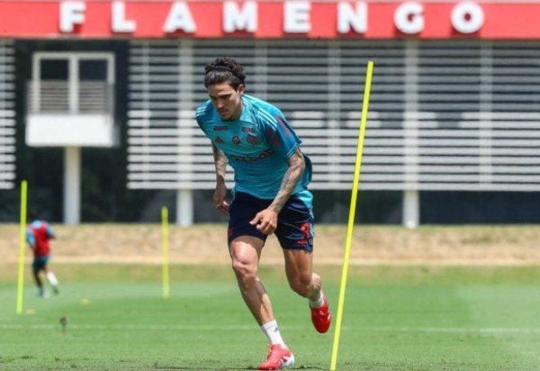 Foto: Gilvan de Souza/Flamengo
