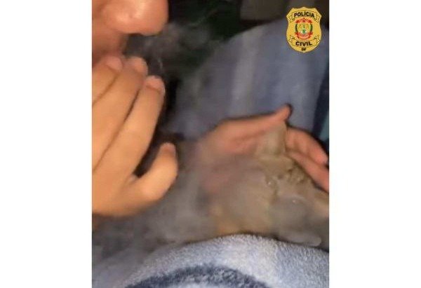 Divulgação/DRCA
