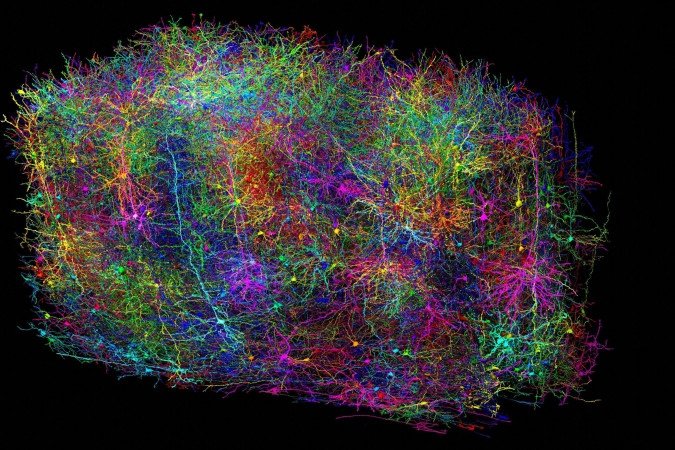 Representação simbólica do circuito desvendado: 1,6 petabytes de tamanho - (crédito: Allen Institute/Divulgação ) Representação simbólica do circuito desvendado: 1,6 petabytes de tamanho - (crédito: Allen Institute/Divulgação )