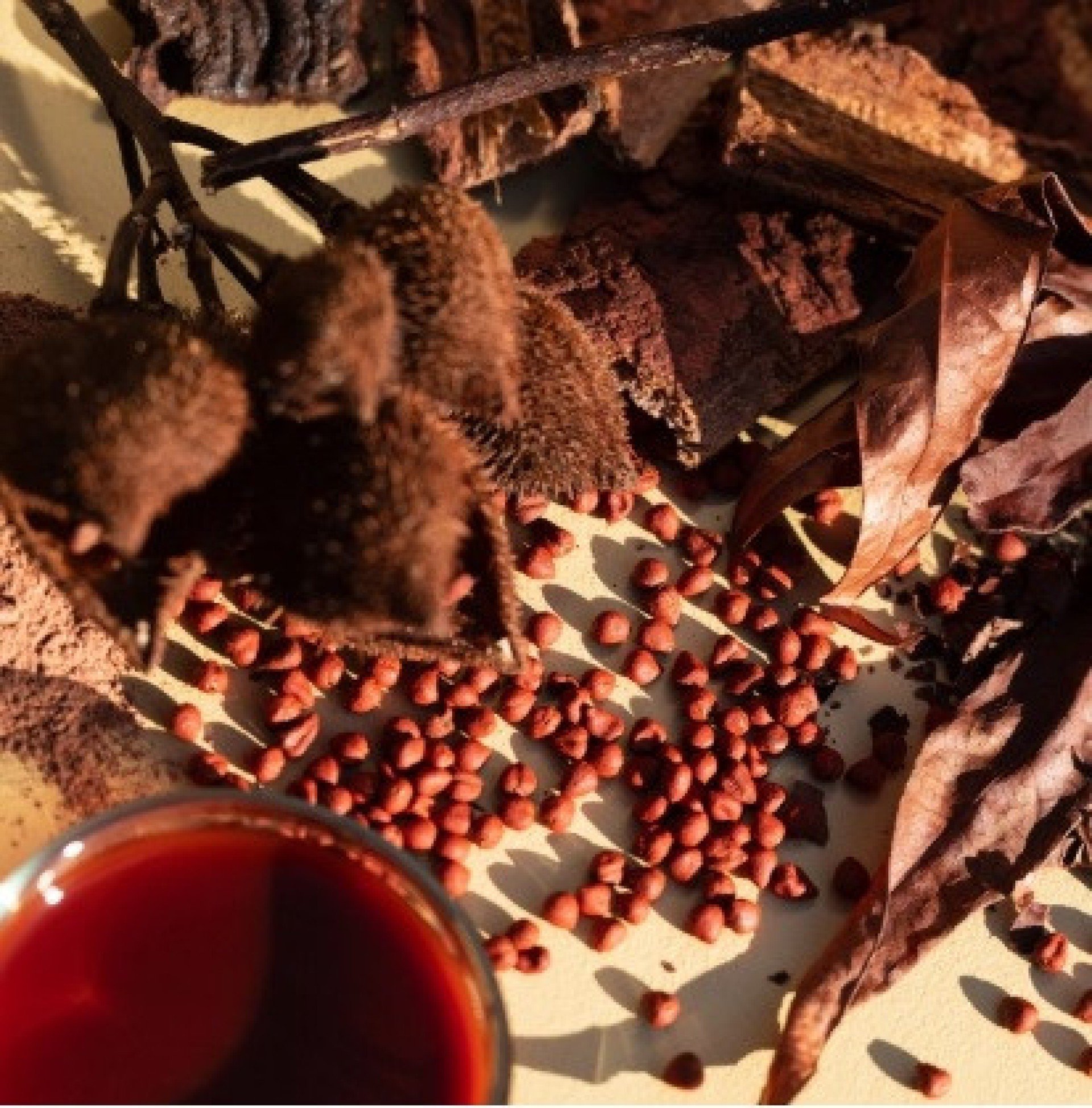 Paleta de cores inspiradas na Amaz&ocirc;nia