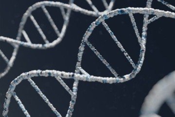 Pela forma com que é encapsulado no espermatozoide, o DNA consegue ser transportado de forma eficiente para o óvulo, sem perder nenhuma característica e garantindo o desenvolvimento de um possível embrião -  (crédito: Warren Umoh Unsplash)