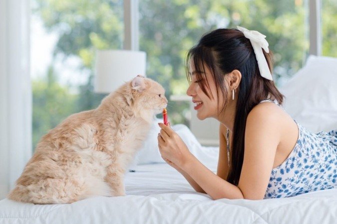 Os petiscos contribuem para a saúde física e mental dos animais (Imagem: Bangkok Click Studio | Shutterstock) - (crédito: EdiCase) Os petiscos contribuem para a saúde física e mental dos animais (Imagem: Bangkok Click Studio | Shutterstock) - (crédito: EdiCase)