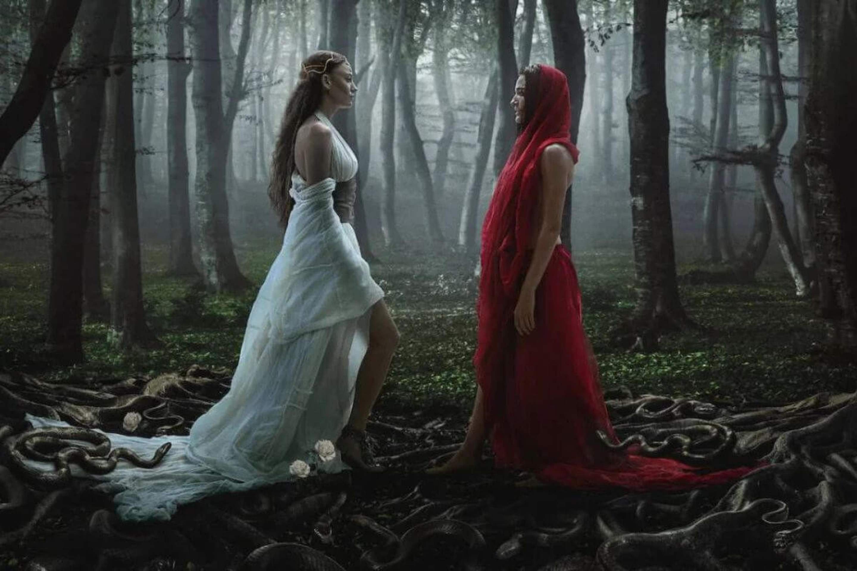 5 séries turcas para assistir na Netflix