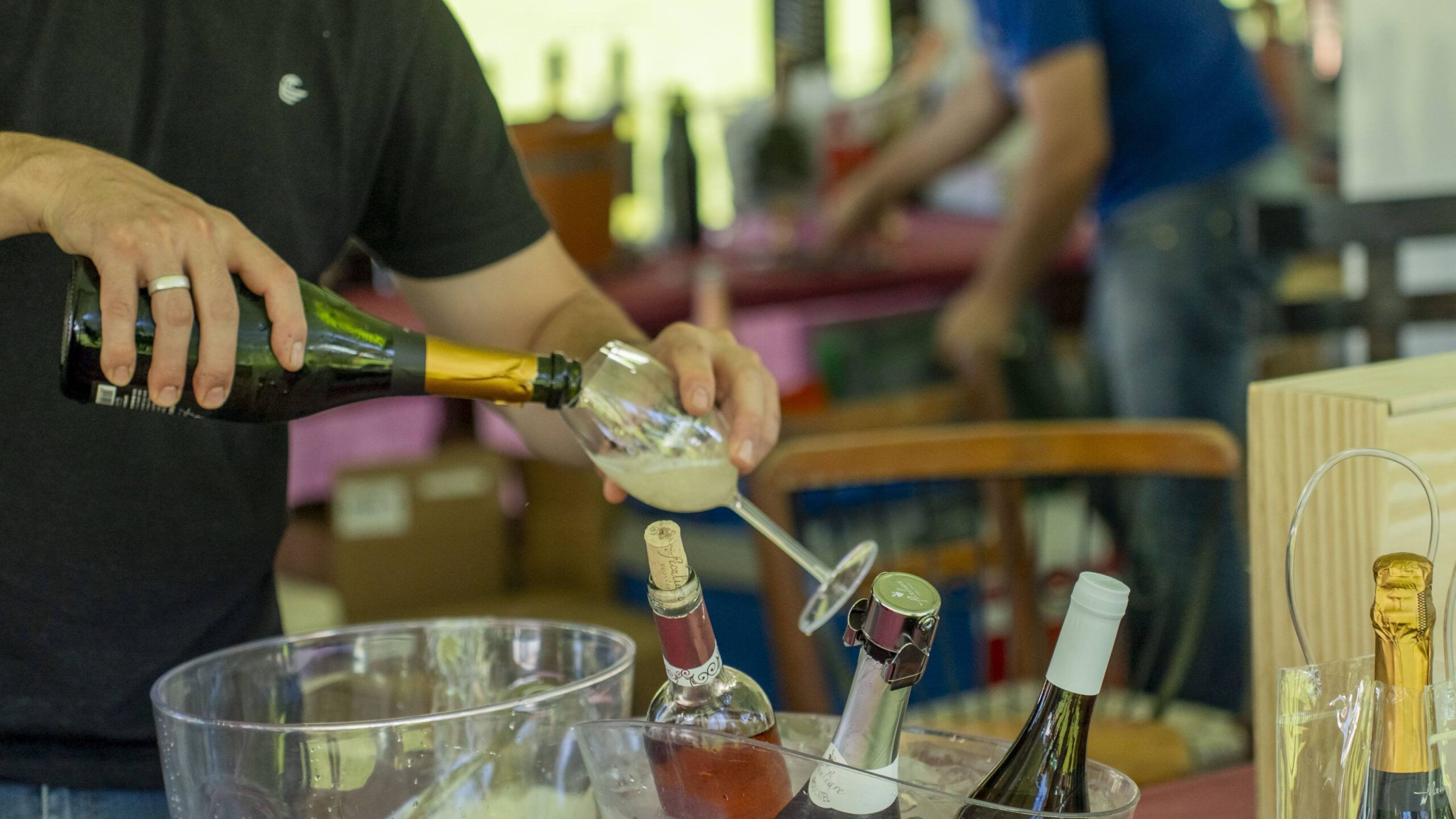 Vale dos Vinhedos é palco do Festival Despertar do Vale