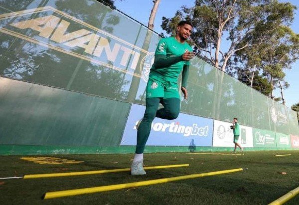 Foto: Cesar Greco/Palmeiras