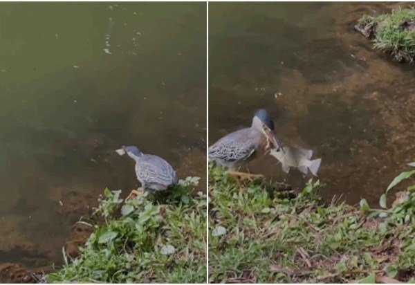 Material cedido ao Correio