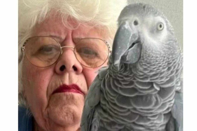 Plucky tem 24 anos e tem sido a companhia de Maria desde que seu marido faleceu, em 2019 - (crédito: Arquivo pessoal/Maria Fraterrigo) Plucky tem 24 anos e tem sido a companhia de Maria desde que seu marido faleceu, em 2019 - (crédito: Arquivo pessoal/Maria Fraterrigo)