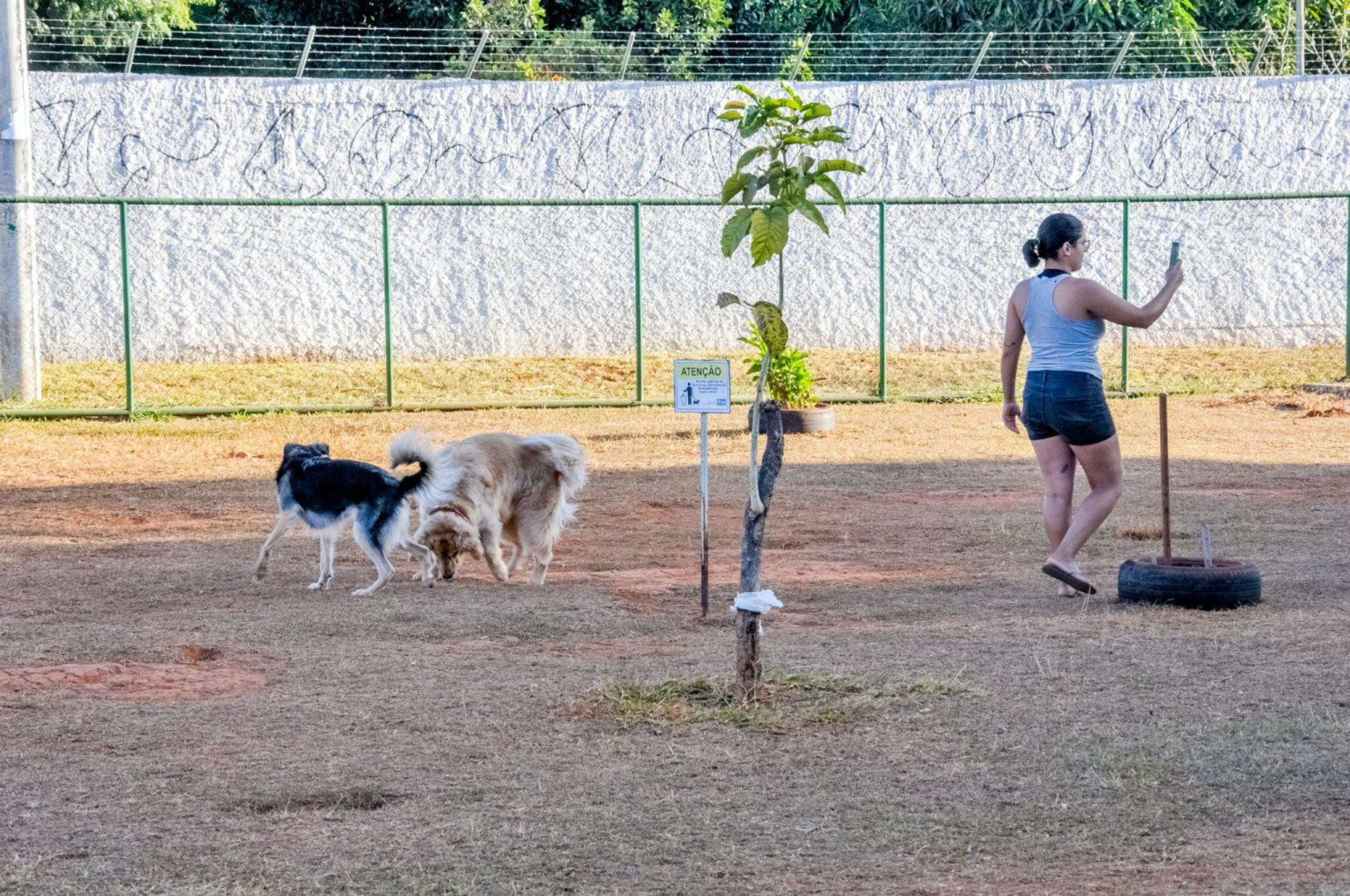 Cãominhada no Cruzeiro reúne ações de proteção animal e lazer gratuito
