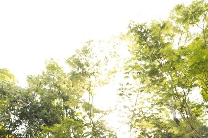 A organização A Vida no Cerrado se dedica à proteção e à difusão da valorização do bioma. Na foto, da esquerda para a direita, Lucas Dias, Wanderson Costa, Luiz Trindade, Davi Paes, Maria Alice dos Santos, Laís Menezes, Bruno Camargos e Vitor Sena