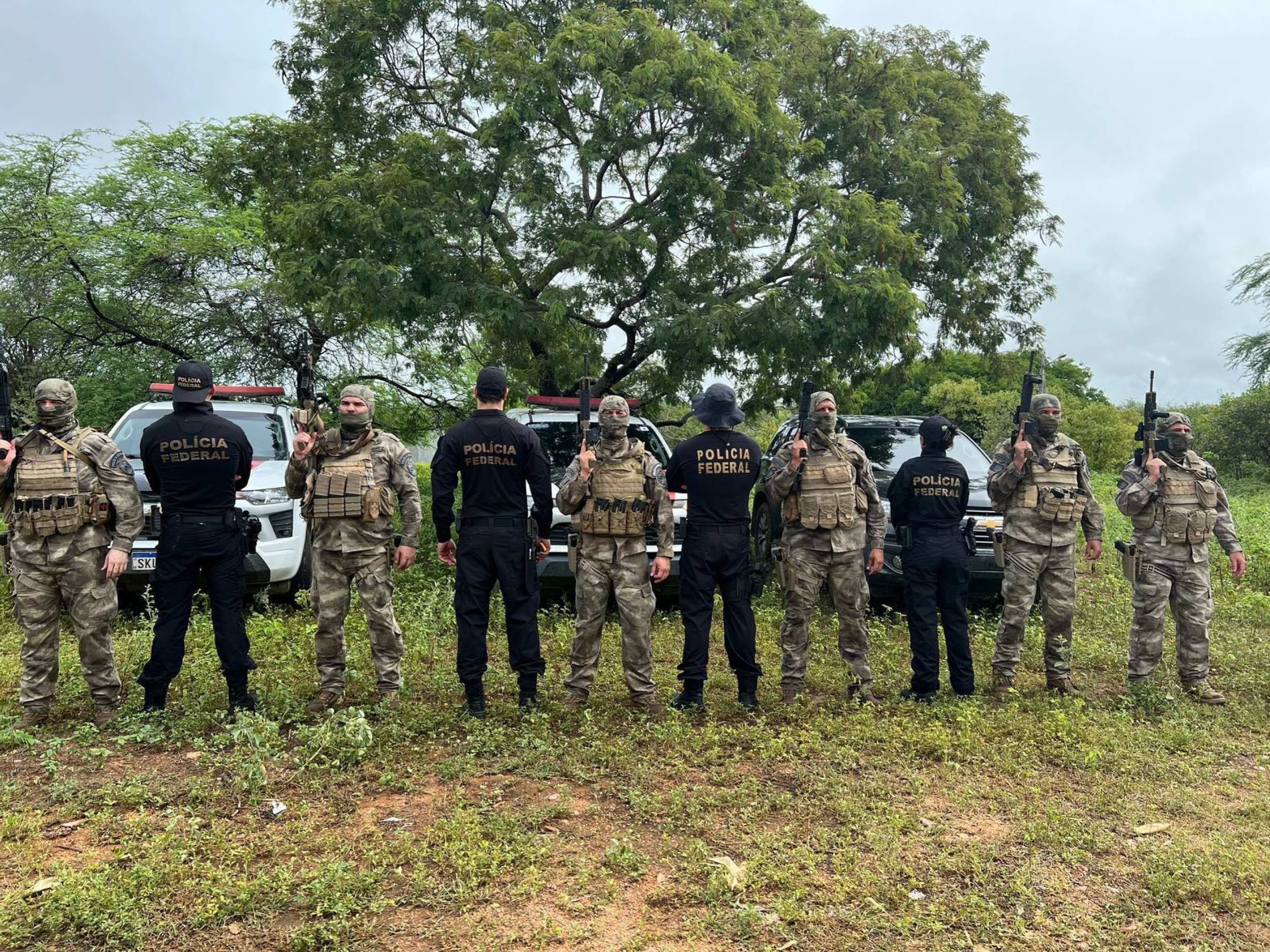 A operação foi realizada pela Polícia Federal, por meio das Delegacias em Patos/PB e Salgueiro/PE, em ação conjunta com o Grupamento Especializado de Operações em Área de Caatinga (GEOSAC) da Polícia Militar da Paraíba