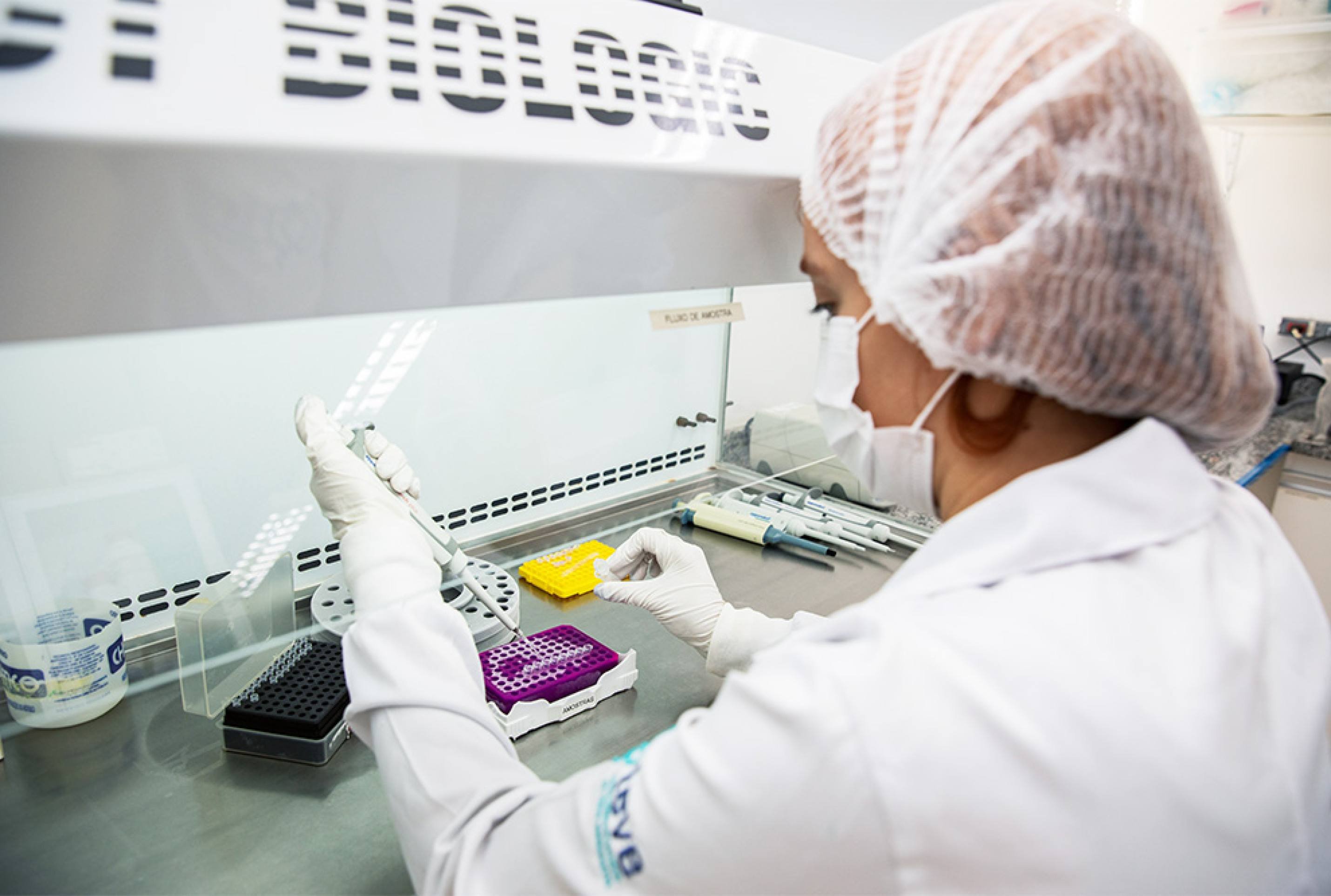 Visão do Correio: Em fase decisiva contra a chikungunya 