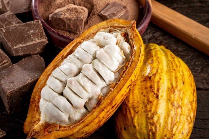 O cacau é uma fruta rica em nutrientes importantes para a saúde (Imagem: WS-Studio | Shutterstock) -  (crédito: EdiCase)