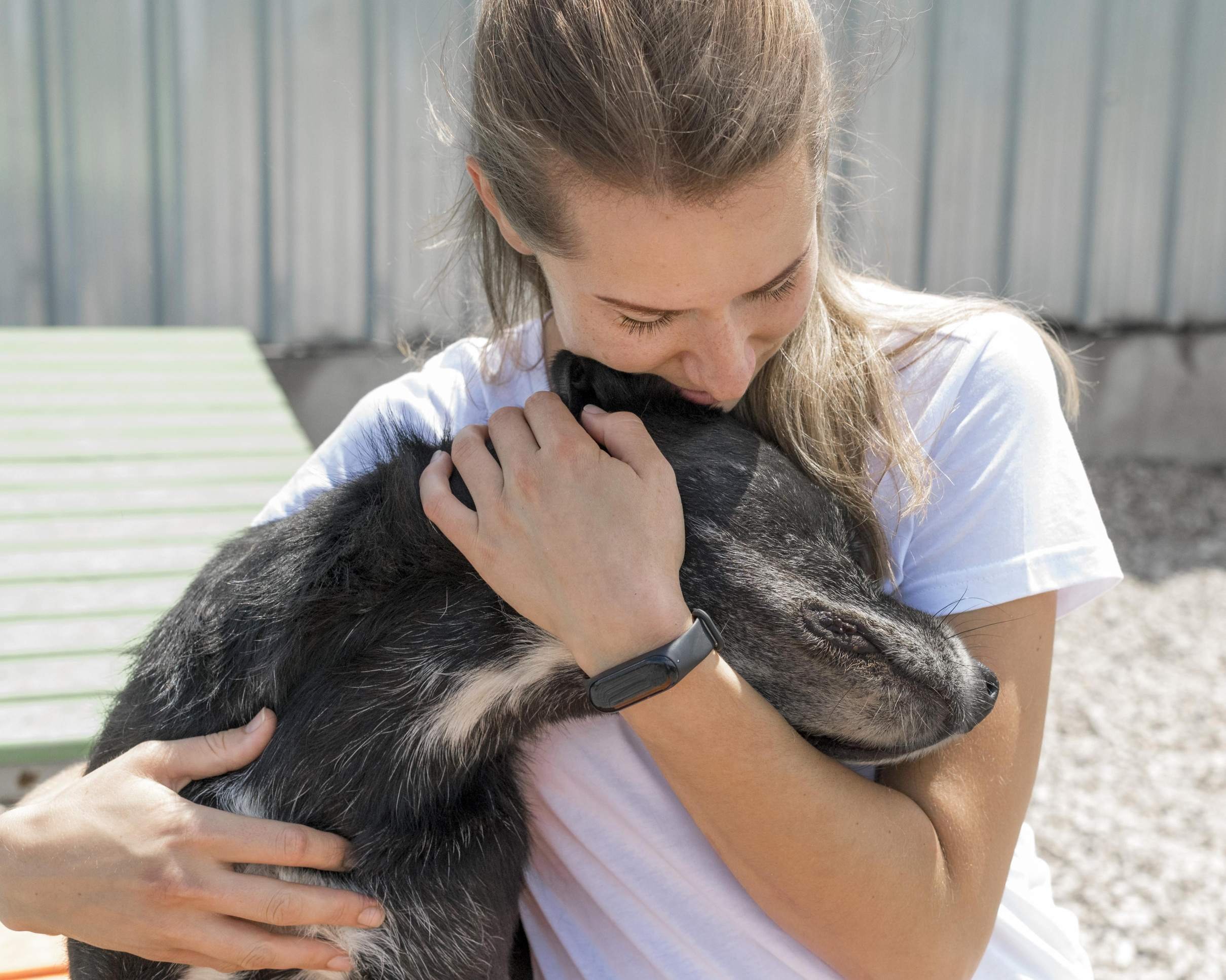 Além das feridas: a importância de acolher animais vítimas de violência