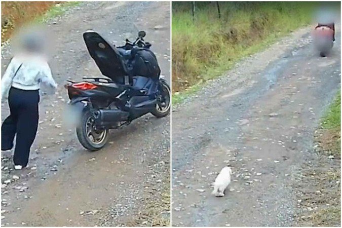 O animal tentou alcançar a tutora ao ser abandonado - (crédito: Reprodução/Redes sociais) O animal tentou alcançar a tutora ao ser abandonado - (crédito: Reprodução/Redes sociais)