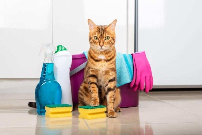 É fundamental tomar alguns cuidados ao utilizar produtos de limpeza em ambientes que tenham animais de estimação (Imagem: Svetlana Rey | Shutterstock) - (crédito: EdiCase) É fundamental tomar alguns cuidados ao utilizar produtos de limpeza em ambientes que tenham animais de estimação (Imagem: Svetlana Rey | Shutterstock) - (crédito: EdiCase)