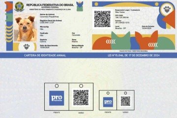 O RG animal trata-se de um banco de dados nacional que vai reunir informações sobre animais domésticos e seus tutores. -  (crédito: Divulgação/Governo Federal)