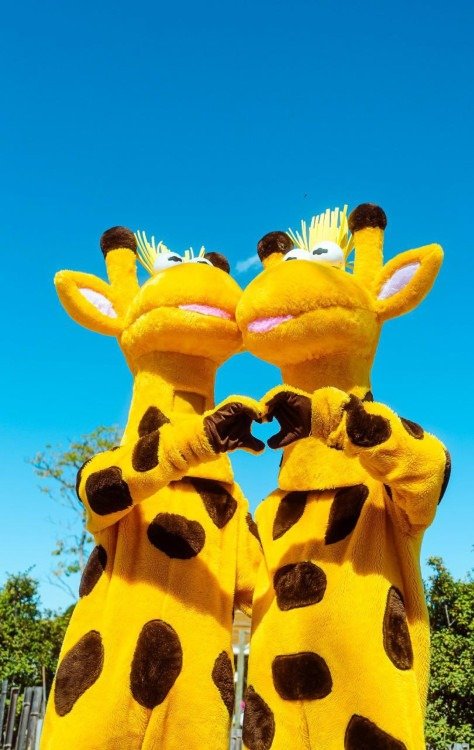 Os cinco locais escolhidos têm forte valor simbólico para Brasília e reforçam o vínculo entre a cidade e o Giraffas.  -  (crédito: Giraffas)