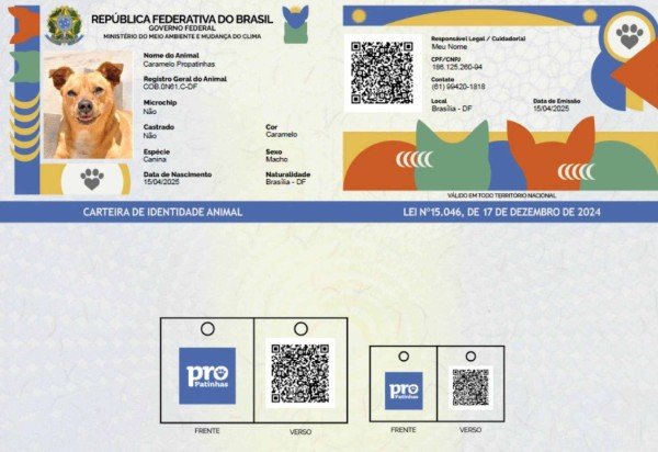 Divulgação/Governo Federal